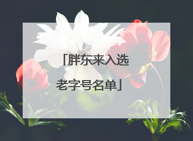胖东来入选老字号名单
