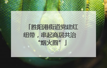 胜阳港街道党建红纽带，串起商居共治 “烟火圈”