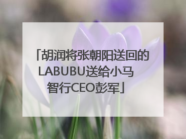 胡润将张朝阳送回的LABUBU送给小马智行CEO彭军