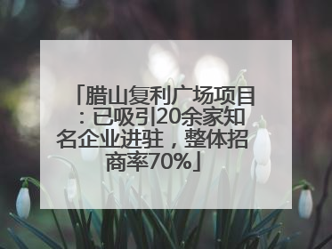 腊山复利广场项目：已吸引20余家知名企业进驻，整体招商率70%