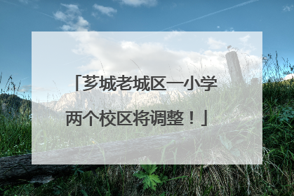 芗城老城区一小学两个校区将调整！