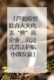 芦淞检察联合人大代表“典”亮企业，沉浸式普法护航小微发展