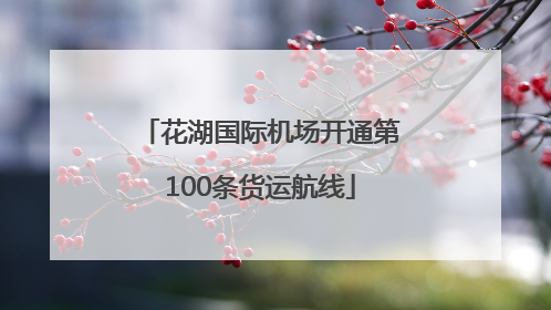 花湖国际机场开通第100条货运航线