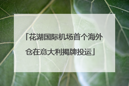 花湖国际机场首个海外仓在意大利揭牌投运