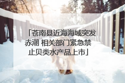 苍南县近海海域突发赤潮 相关部门紧急禁止贝类水产品上市