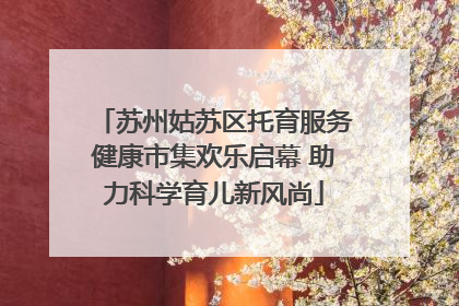 苏州姑苏区托育服务健康市集欢乐启幕 助力科学育儿新风尚