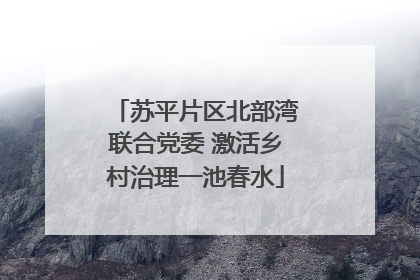 苏平片区北部湾联合党委 激活乡村治理一池春水