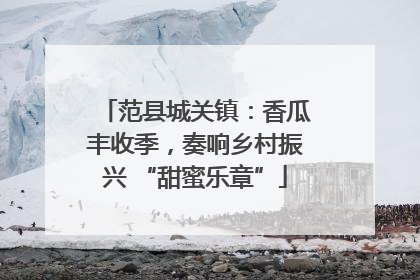 范县城关镇：香瓜丰收季，奏响乡村振兴 “甜蜜乐章”