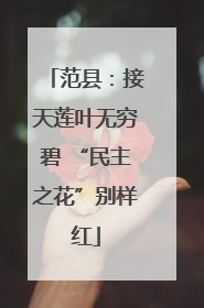 范县：接天莲叶无穷碧 “民主之花”别样红