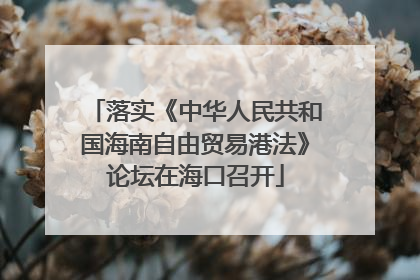落实《中华人民共和国海南自由贸易港法》论坛在海口召开