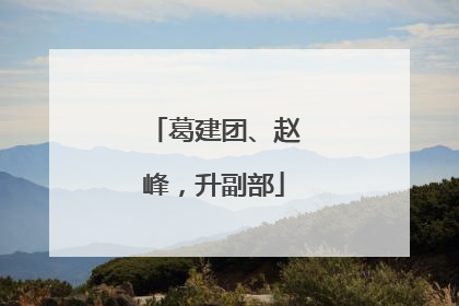 葛建团、赵峰，升副部
