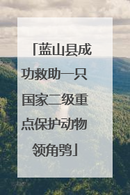 蓝山县成功救助一只国家二级重点保护动物领角鸮