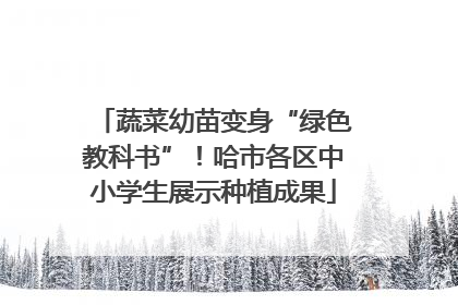 蔬菜幼苗变身“绿色教科书”！哈市各区中小学生展示种植成果