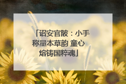 诏安官陂：小手称量本草韵 童心熔铸国粹魂