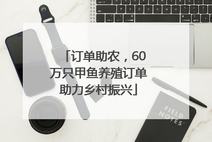 订单助农，60万只甲鱼养殖订单助力乡村振兴