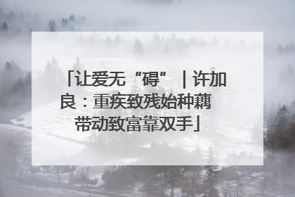 让爱无“碍”｜许加良：重疾致残始种藕 带动致富靠双手