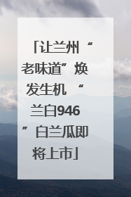 让兰州“老味道”焕发生机 “兰白946”白兰瓜即将上市
