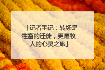 记者手记：转场是牲畜的迁徙，更是牧人的心灵之旅
