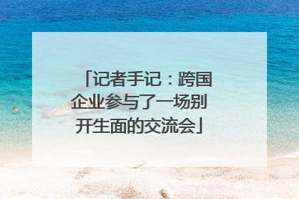 记者手记：跨国企业参与了一场别开生面的交流会
