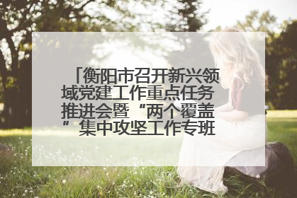 衡阳市召开新兴领域党建工作重点任务推进会暨“两个覆盖”集中攻坚工作专班 第一次会议