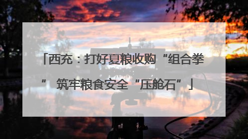 西充：打好夏粮收购“组合拳” 筑牢粮食安全“压舱石”