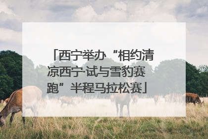 西宁举办“相约清凉西宁·试与雪豹赛跑”半程马拉松赛