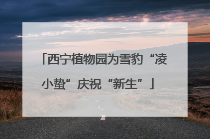西宁植物园为雪豹“凌小蛰”庆祝“新生”