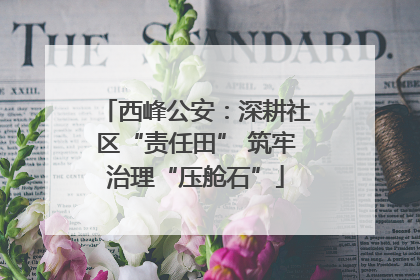 西峰公安：深耕社区“责任田” 筑牢治理“压舱石”