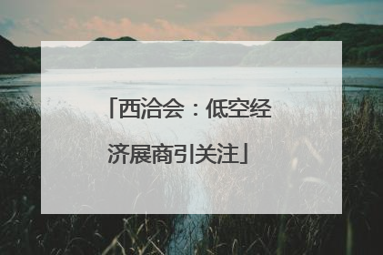 西洽会：低空经济展商引关注