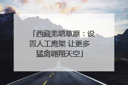 西藏羌塘草原：设置人工鹰架 让更多猛禽翱翔天空