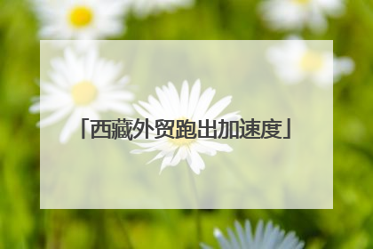 西藏外贸跑出加速度
