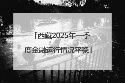西藏2025年一季度金融运行情况平稳