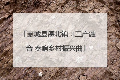 襄城县湛北镇：三产融合 奏响乡村振兴曲