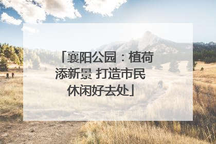 襄阳公园：植荷添新景 打造市民休闲好去处