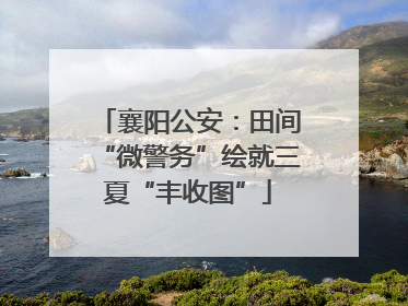 襄阳公安：田间“微警务”绘就三夏“丰收图”
