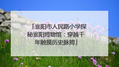 襄阳市人民路小学探秘襄阳博物馆：穿越千年触摸历史脉搏