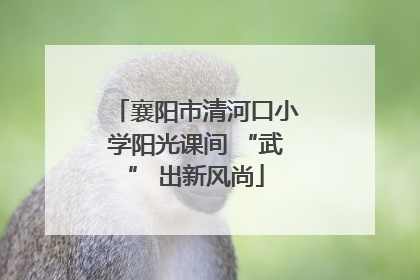 襄阳市清河口小学阳光课间 “武” 出新风尚