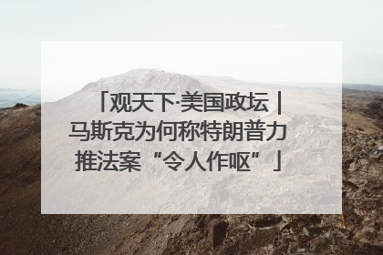 观天下·美国政坛｜马斯克为何称特朗普力推法案“令人作呕”