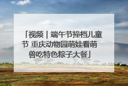 视频｜端午节撞档儿童节 重庆动物园萌娃看萌兽吃特色粽子大餐