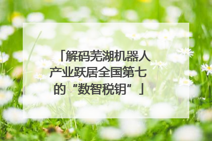 解码芜湖机器人产业跃居全国第七的“数智税钥”