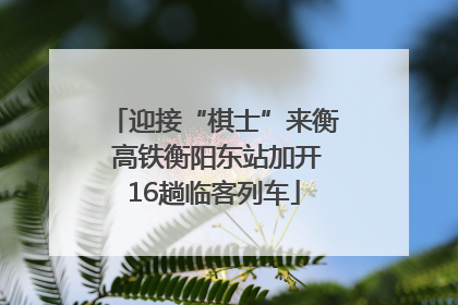 迎接“棋士”来衡 高铁衡阳东站加开16趟临客列车