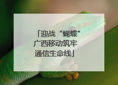 迎战“蝴蝶” 广西移动筑牢通信生命线