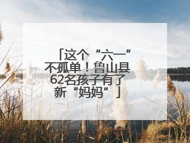 这个“六一”不孤单！鲁山县62名孩子有了新“妈妈”