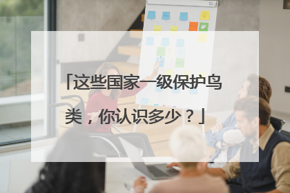这些国家一级保护鸟类，你认识多少？
