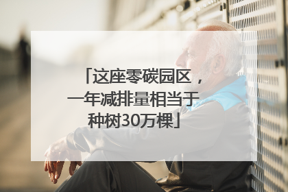 这座零碳园区，一年减排量相当于种树30万棵