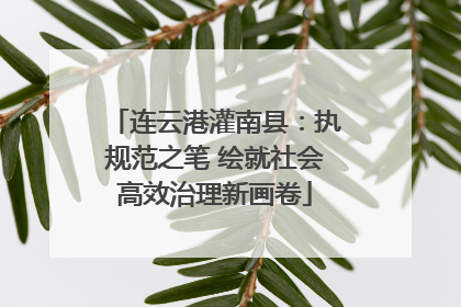连云港灌南县：执规范之笔 绘就社会高效治理新画卷