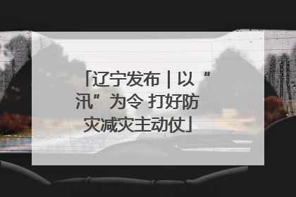 辽宁发布｜以“汛”为令 打好防灾减灾主动仗