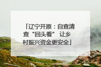 辽宁开原：自查清查“回头看” 让乡村振兴资金更安全