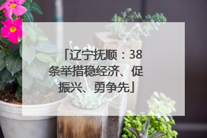 辽宁抚顺：38条举措稳经济、促振兴、勇争先