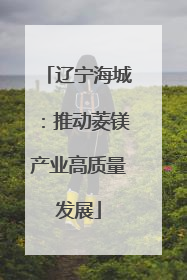 辽宁海城：推动菱镁产业高质量发展